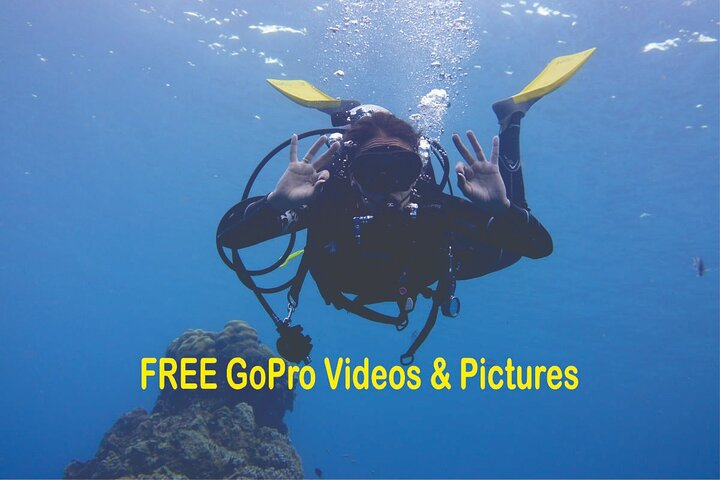 Panama City Scuba Diving Activity for Beginners - Photo 1 of 19